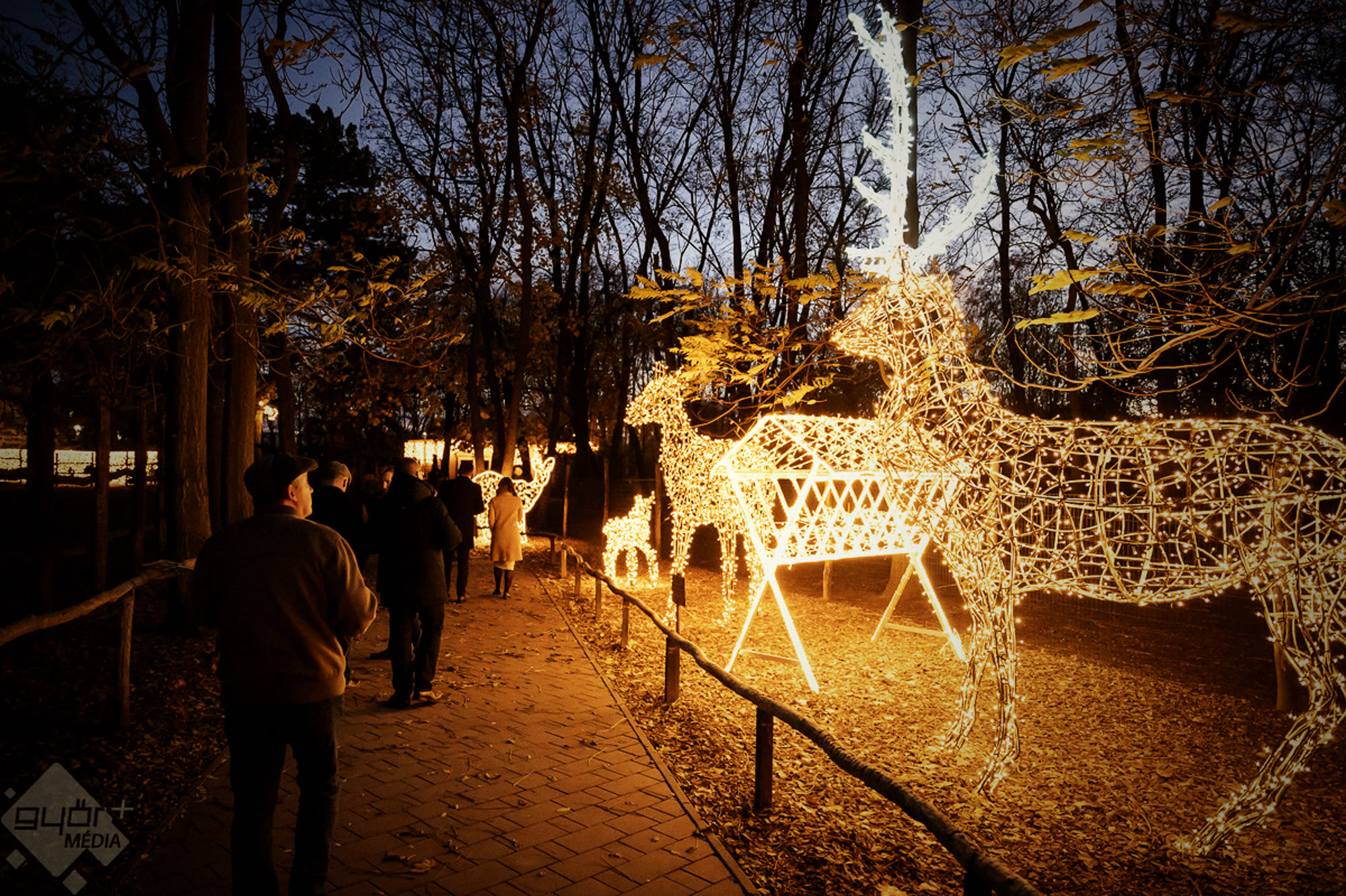 Xantus János Zoo, Győr — illuminated stags and visitors walking the evening light trail