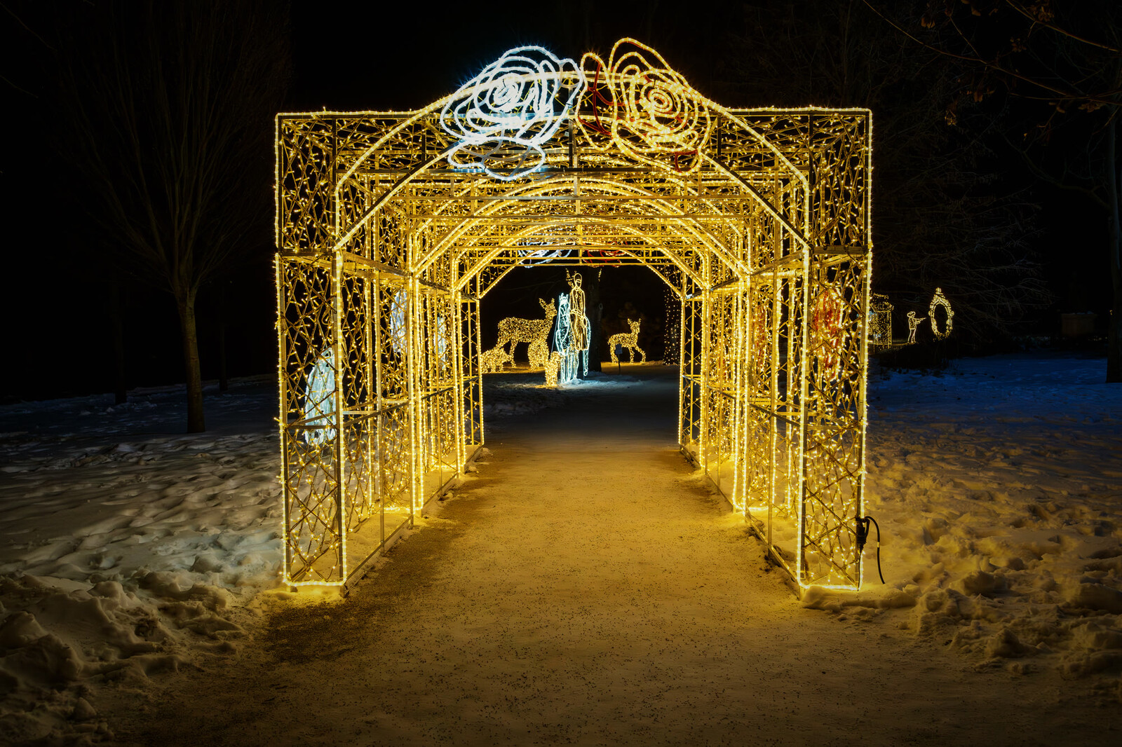 Gödöllő — rose tunnel